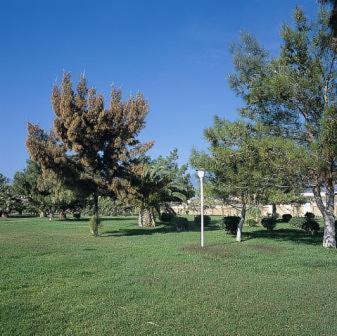 Nafsika Beach Delphi-איתאה מראה חיצוני תמונה